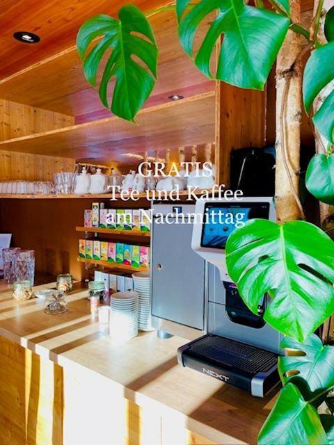 Curuna Hotel-Garni B&B Scuol Εξωτερικό φωτογραφία